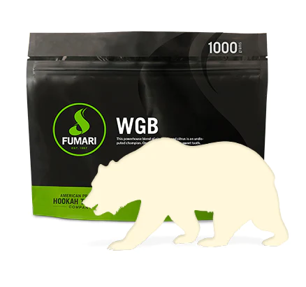 TABACO PARA SHISHA DE HOOKAH FUMARI